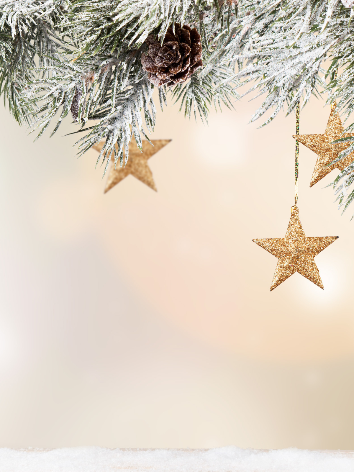 The Wild Season Gift Guide by Selatan