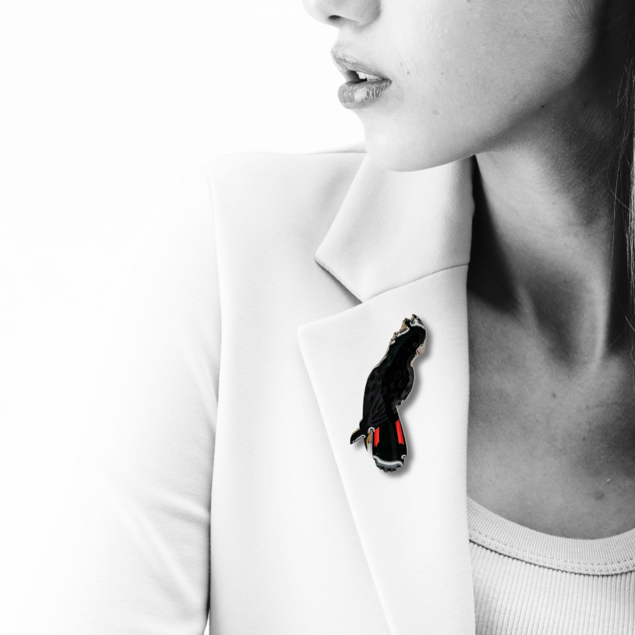 Red-tailed Black Cockatoo (Male) Brooch