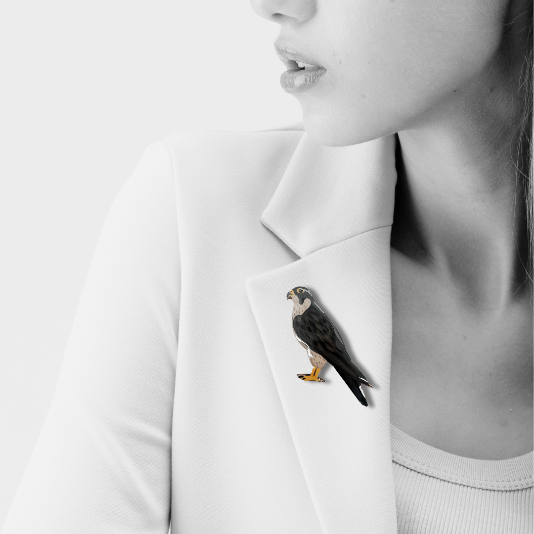 Peregrine Falcon Brooch