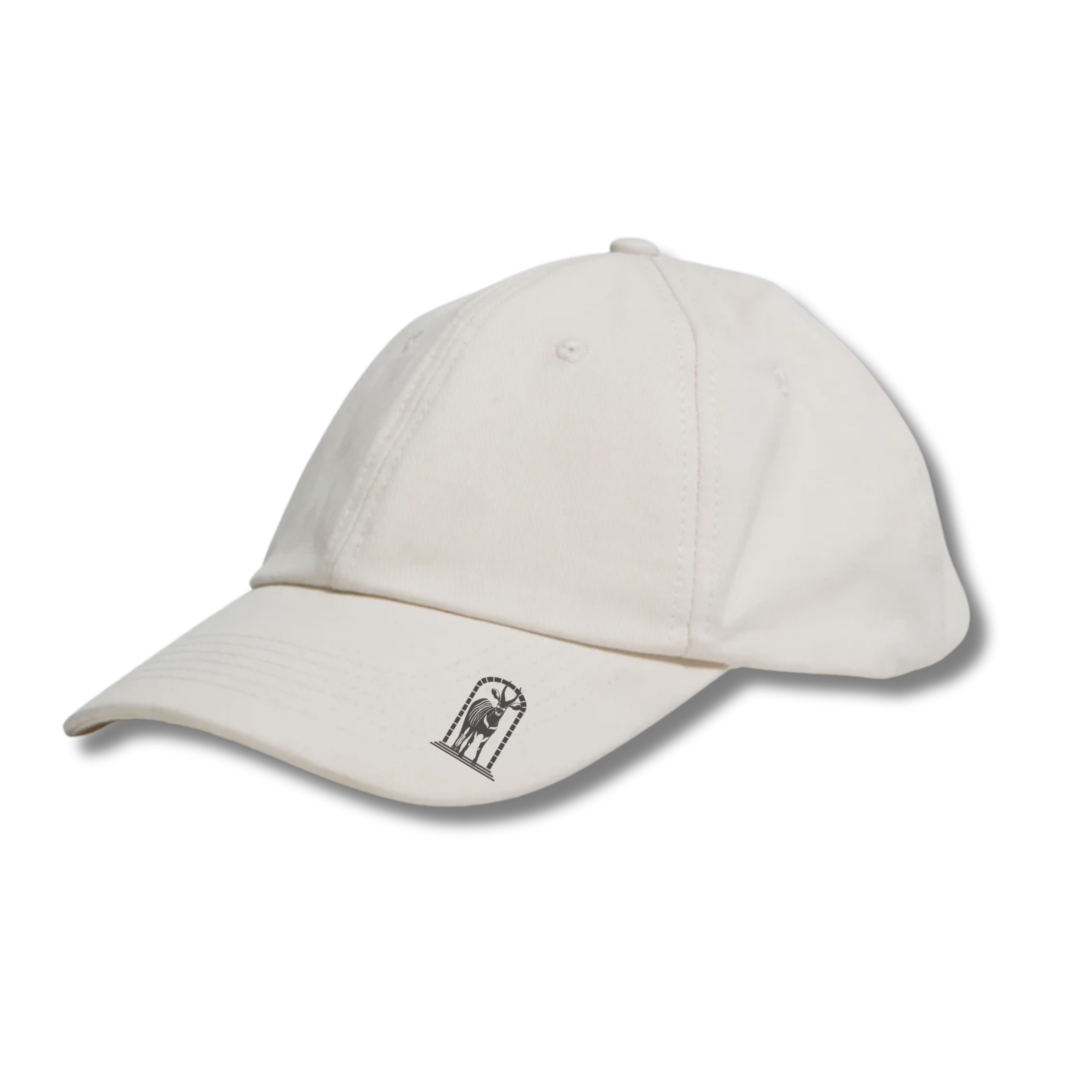 Wild Cap - Eastern Bongo