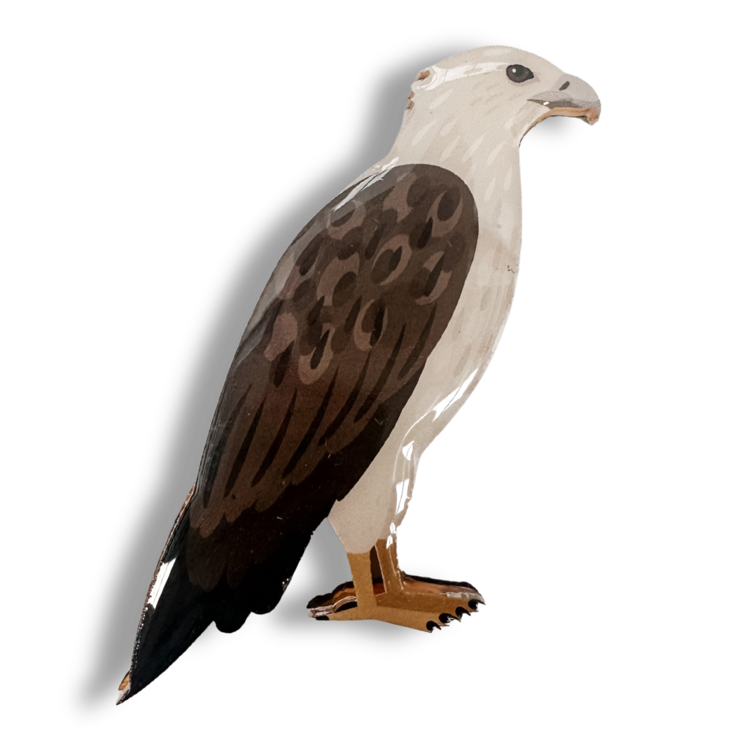 White-bellied Sea Eagle Brooch