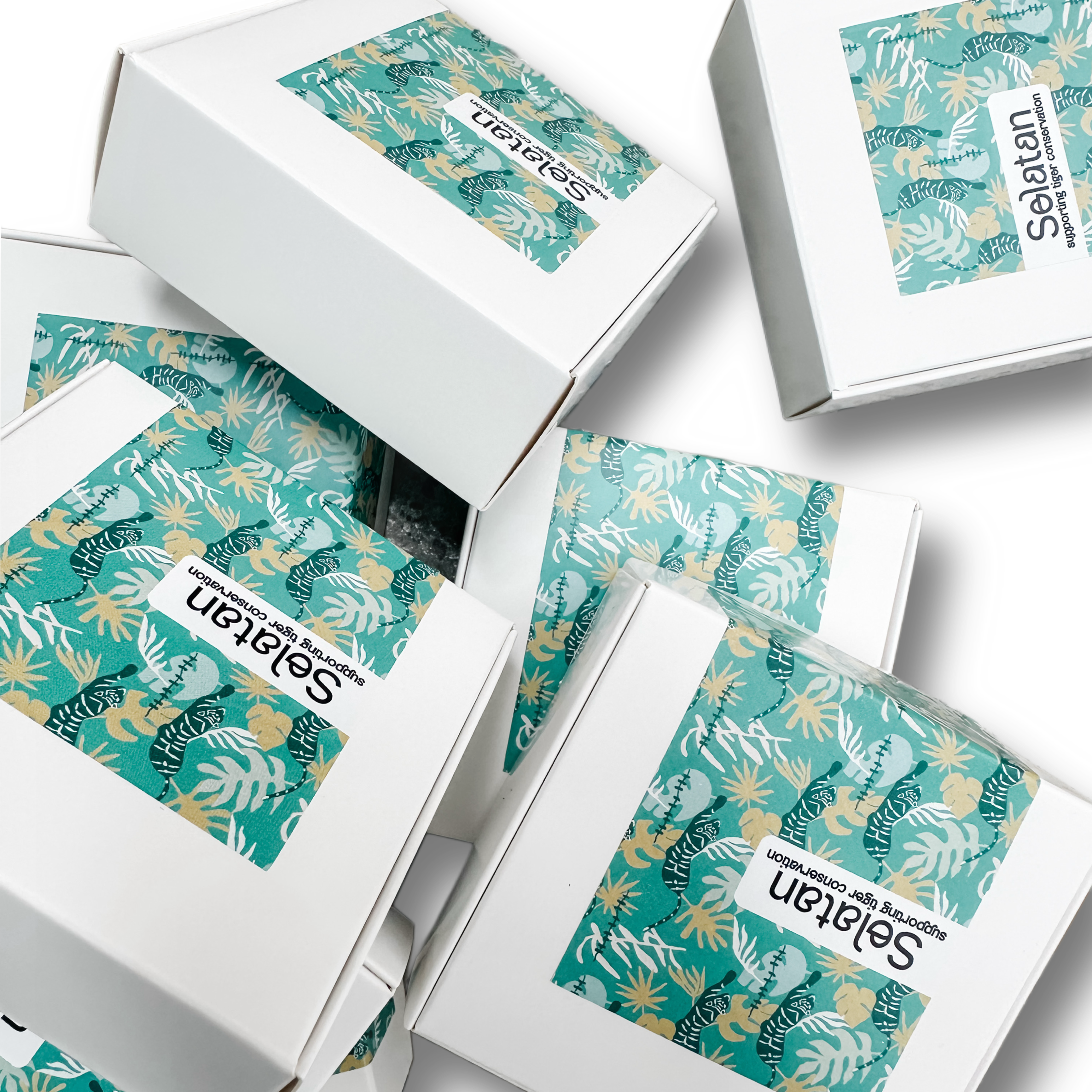 The Collector’s Trio