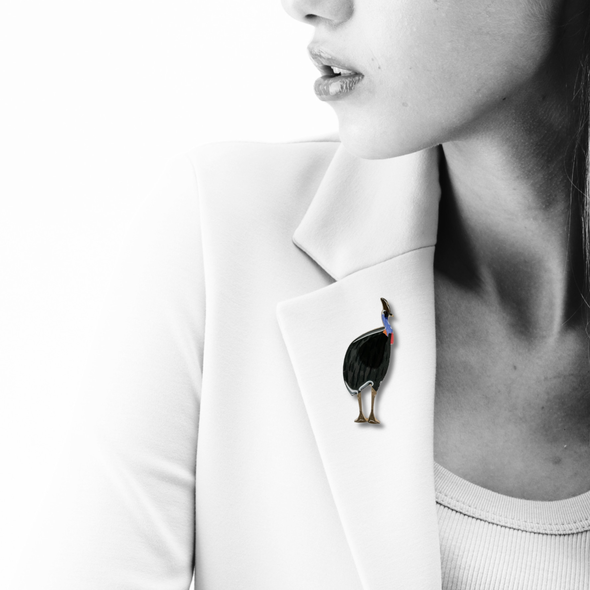 Cassowary Brooch