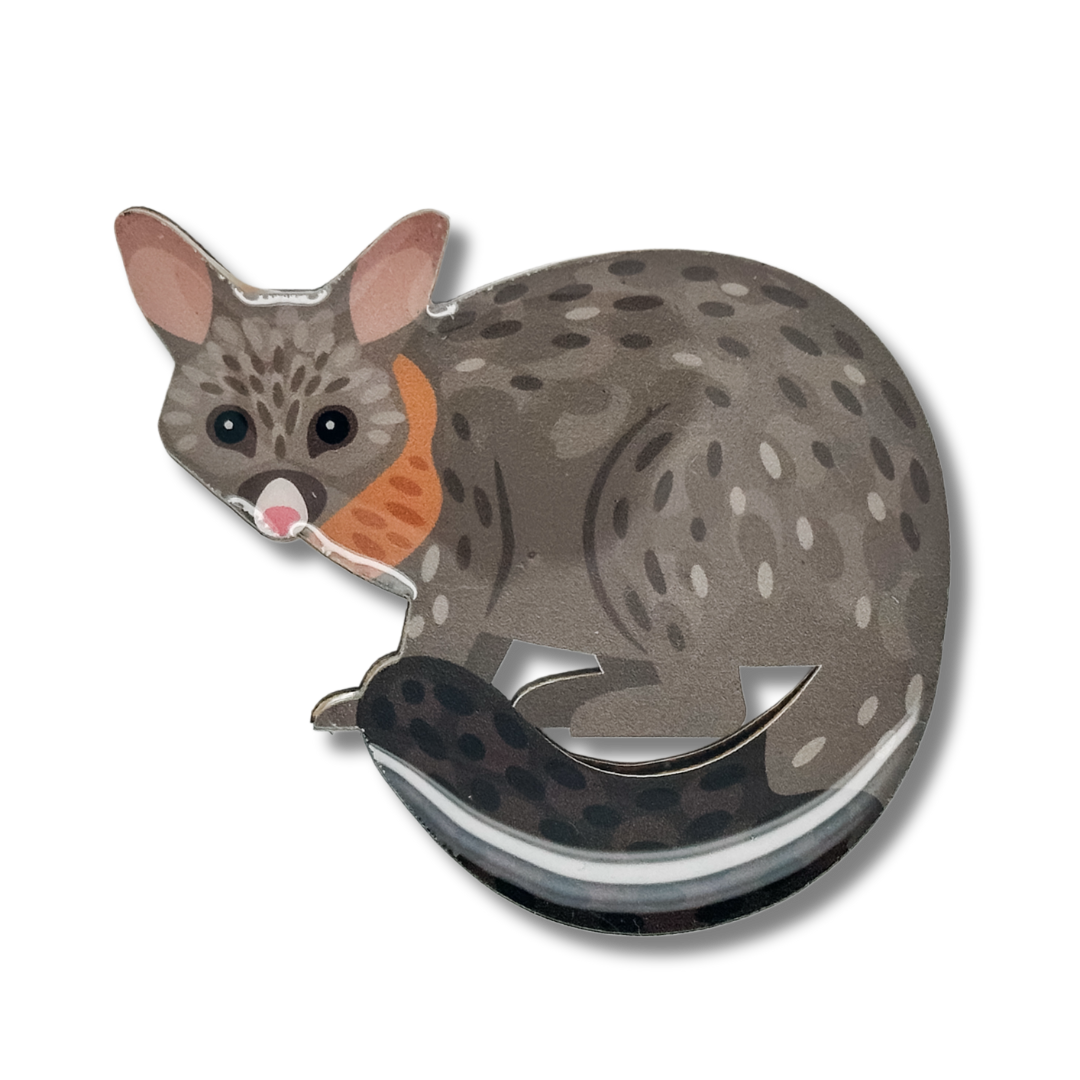 Brushtail Possum Brooch