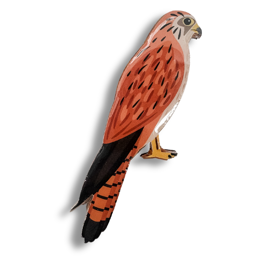Nankeen Kestrel Brooch
