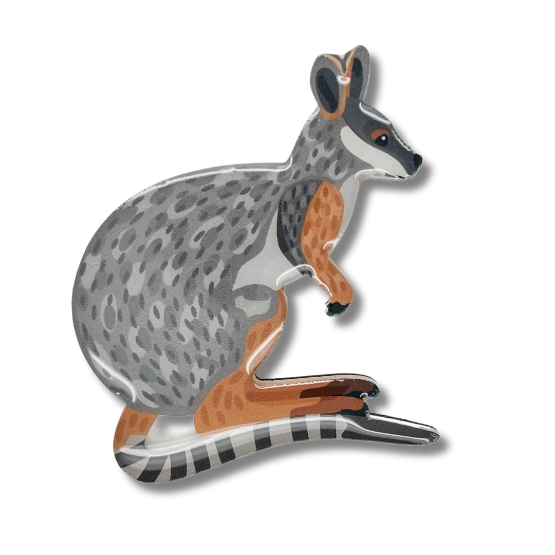 Yellow-footed Rock Wallaby Brooch