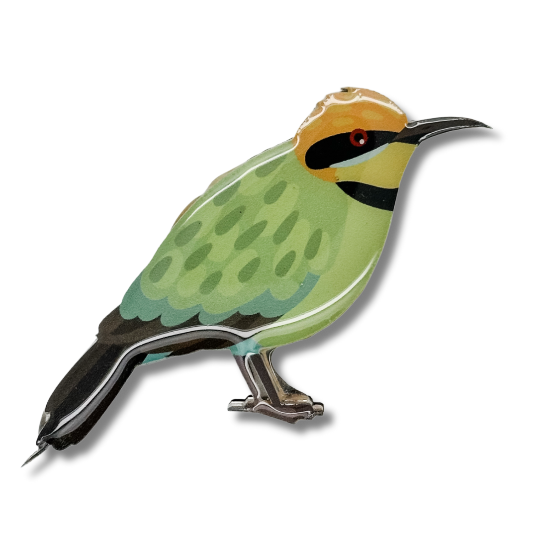 Rainbow Bee-eater Brooch