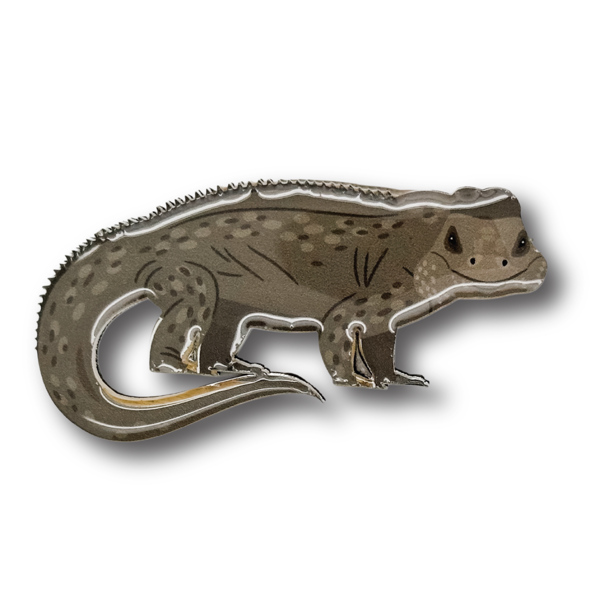Rhino Iguana Brooch