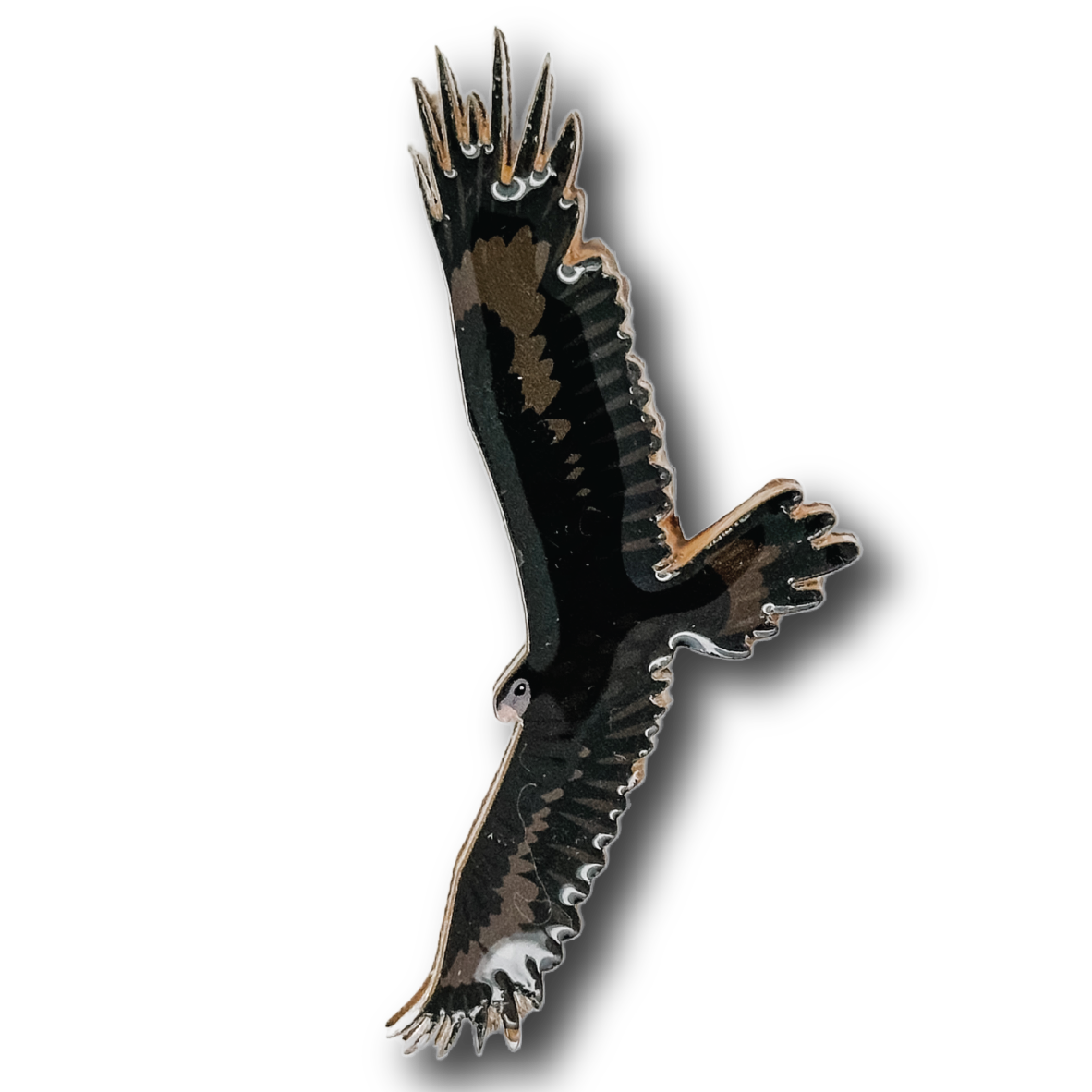 Wedge-tailed Eagle Brooch