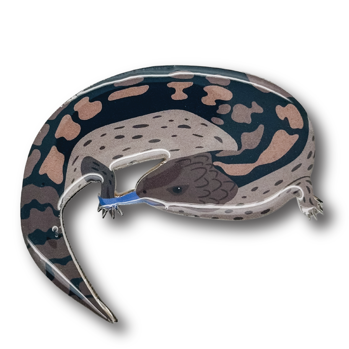 Bluetongue Lizard Brooch
