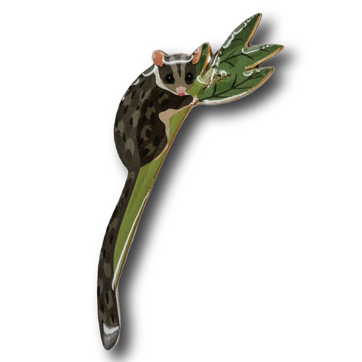 Leadbeater's Possum Brooch