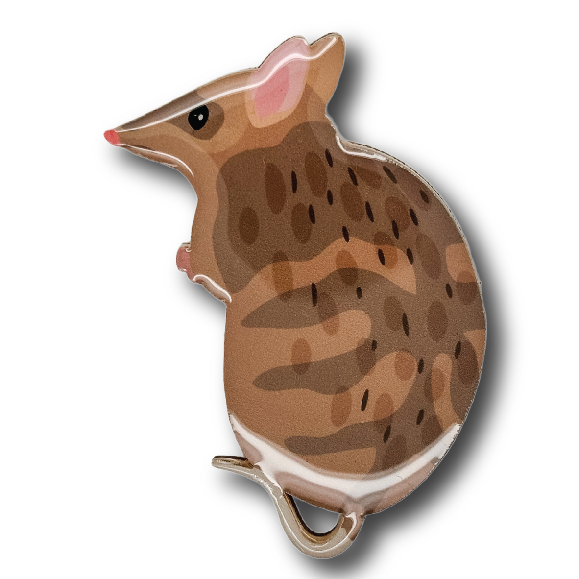 Eastern Barred Bandicoot Brooch