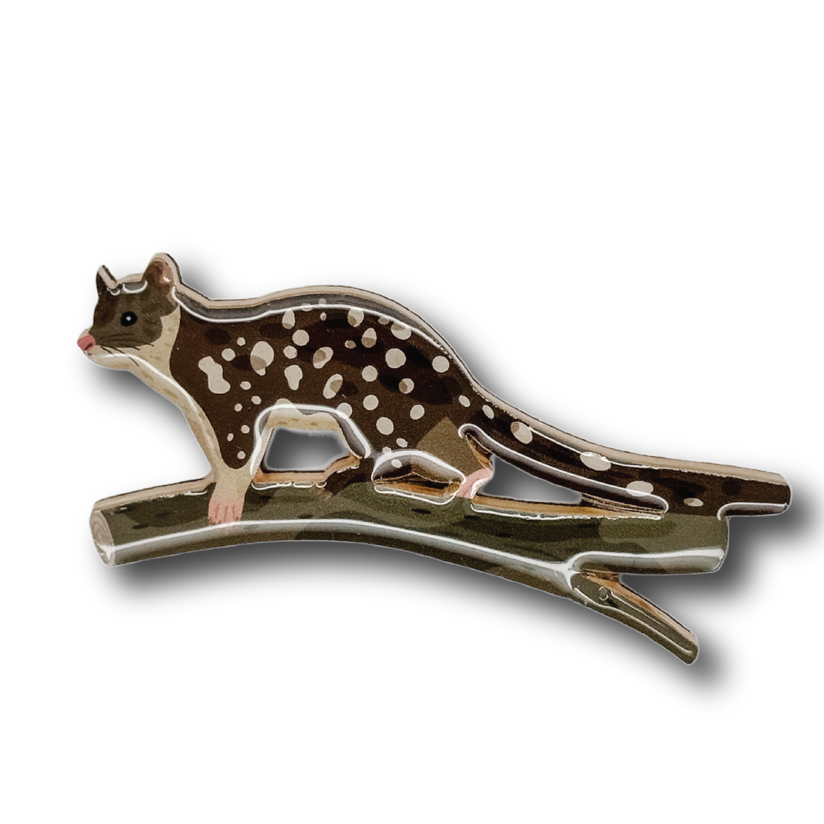 Spotted-tailed Quoll Brooch