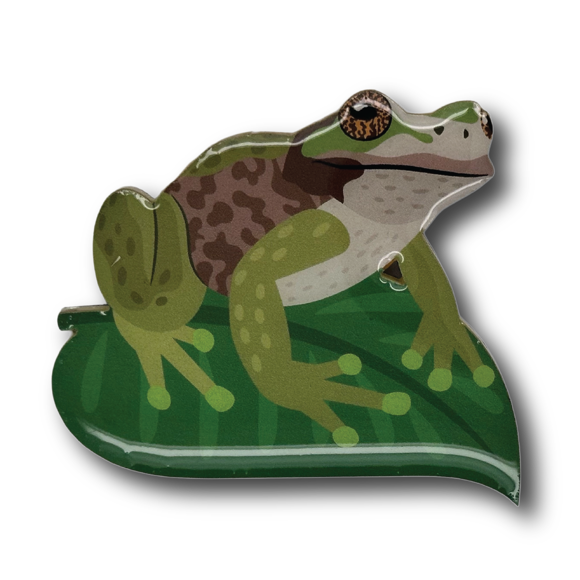 Spotted Tree Frog Brooch