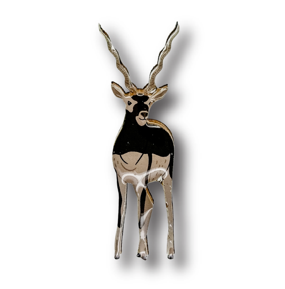 Blackbuck Brooch