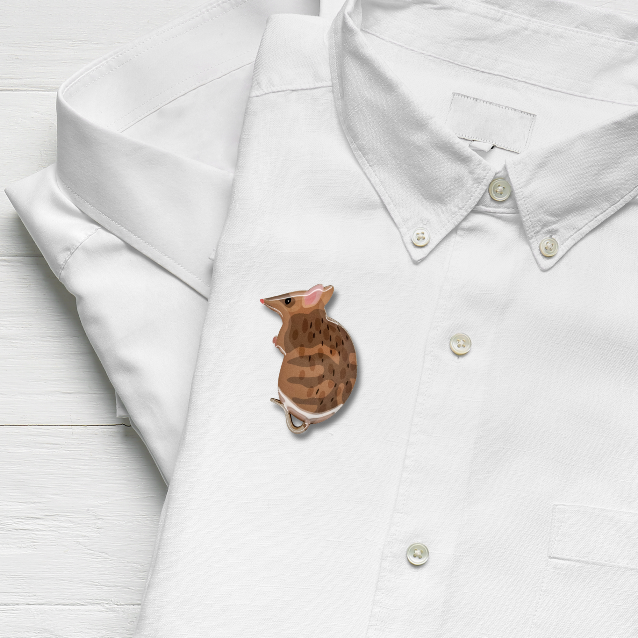 Eastern Barred Bandicoot Brooch