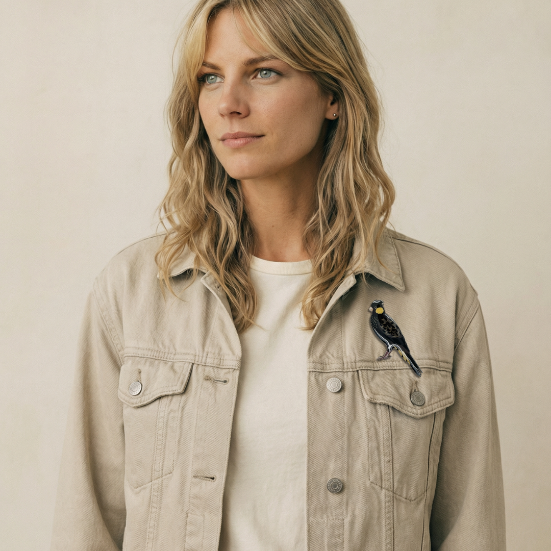 Yellow-tailed Black-cockatoo Brooch