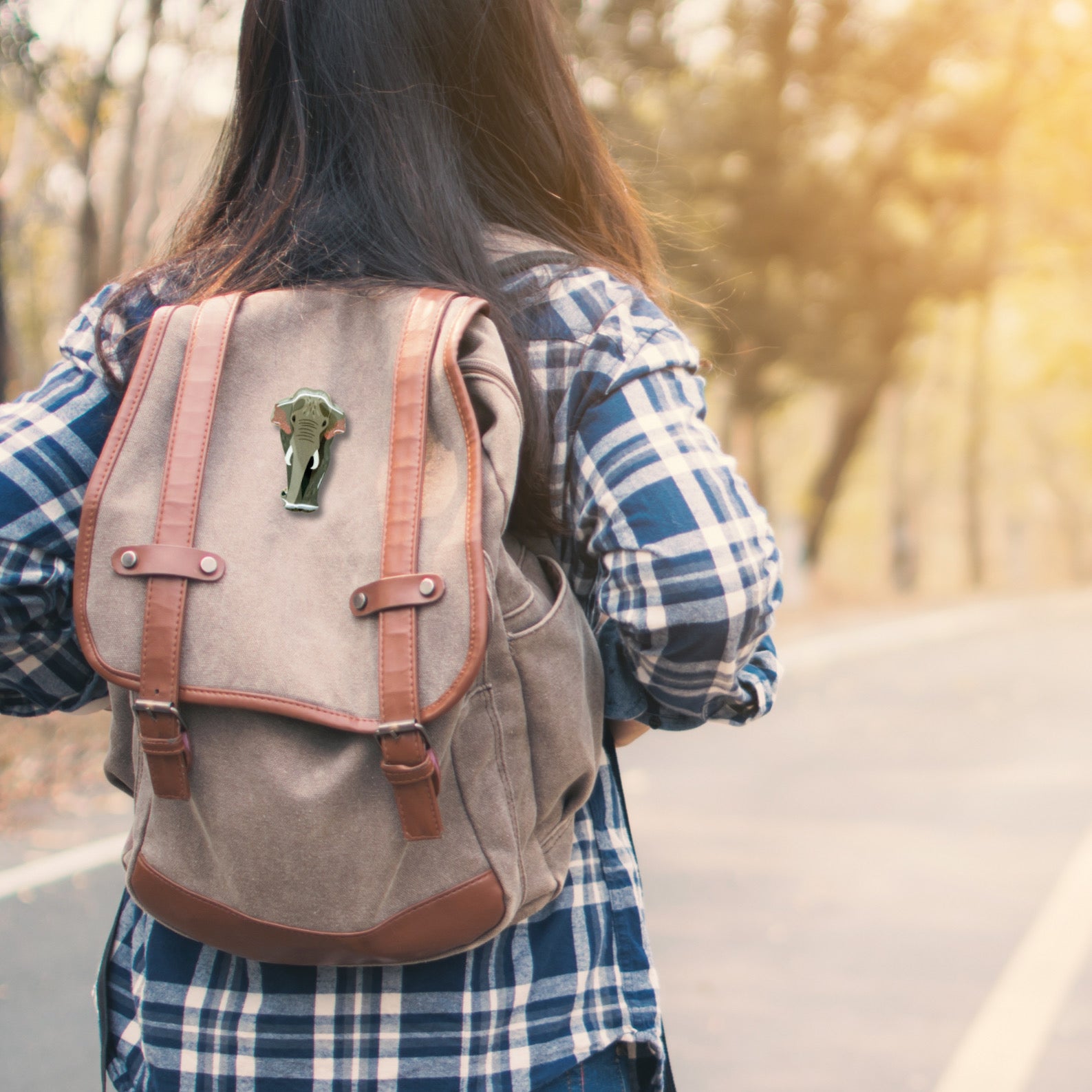 Asian Elephant (I) Brooch