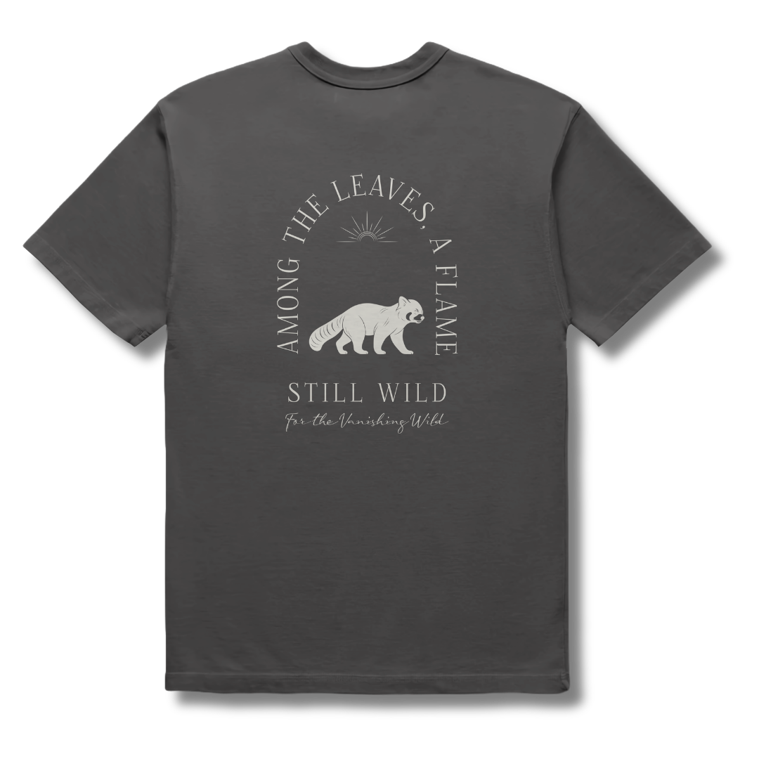 Wild Tee - Red Panda . Story