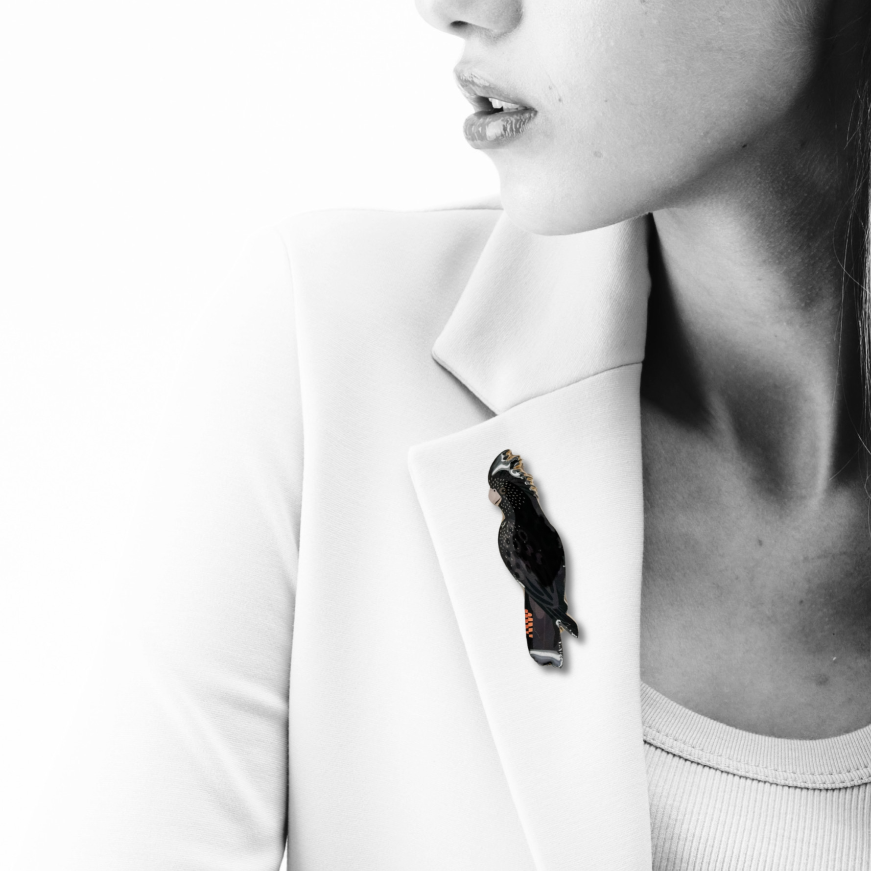 Red-tailed Black Cockatoo (Female) Brooch