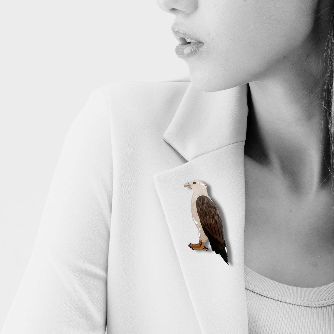 White-bellied Sea Eagle Brooch