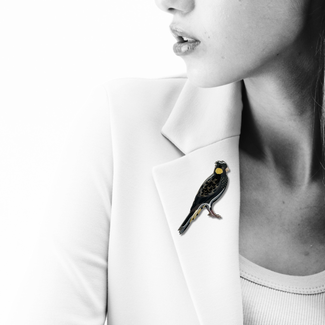 Yellow-tailed Black-cockatoo Brooch