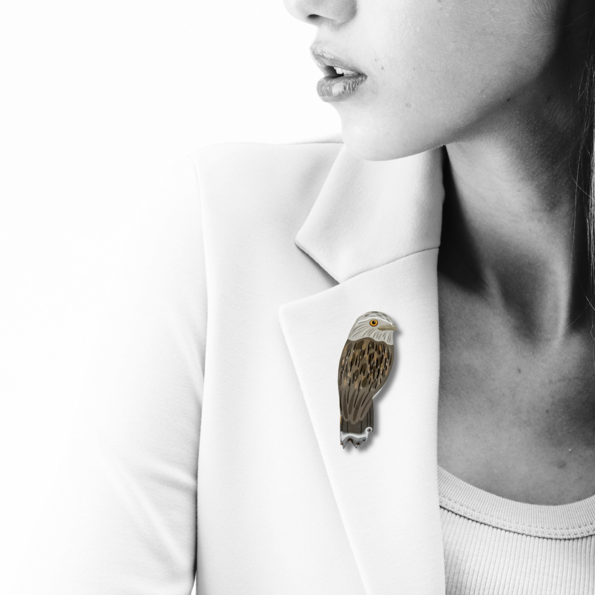 Tawny Frogmouth Brooch