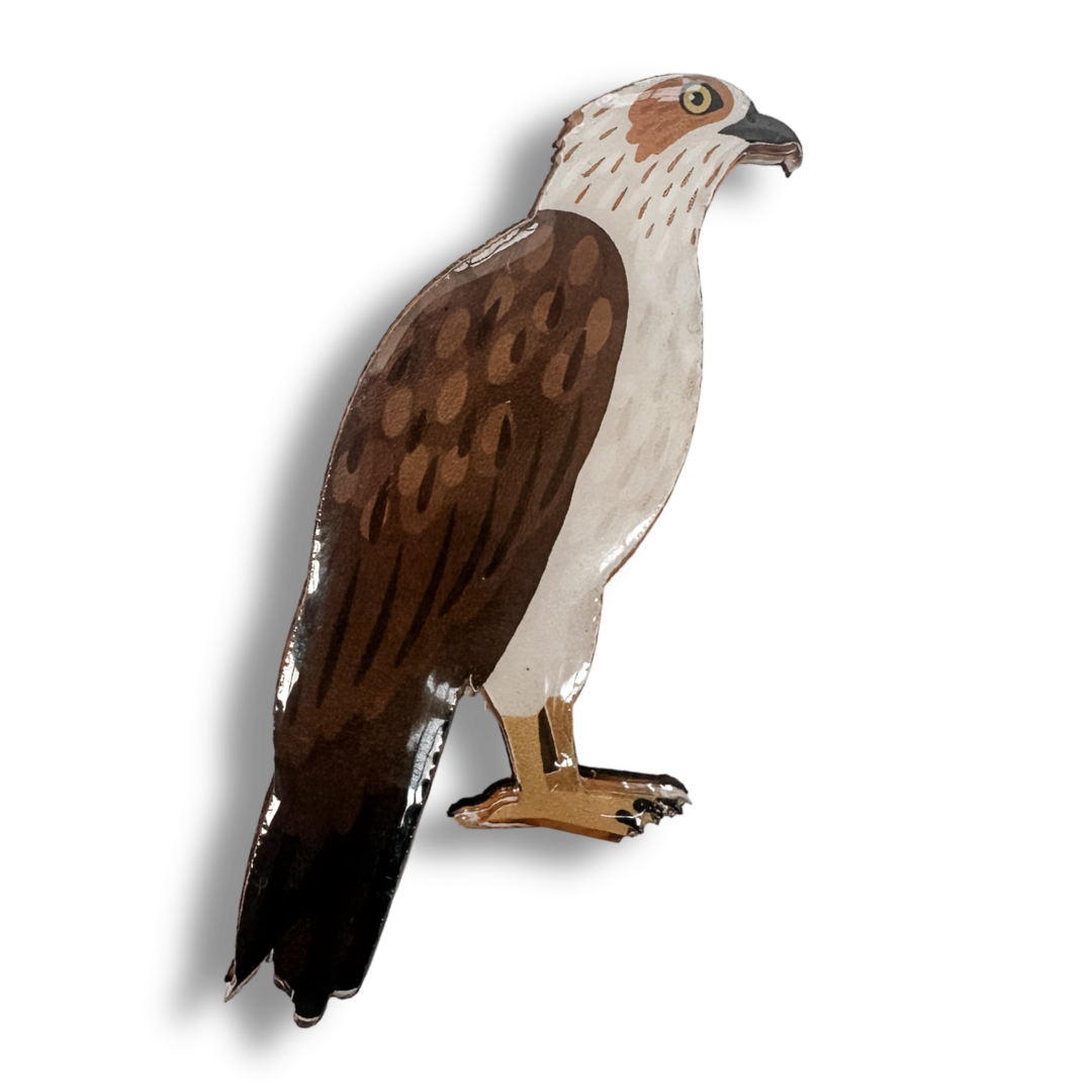 Osprey Brooch