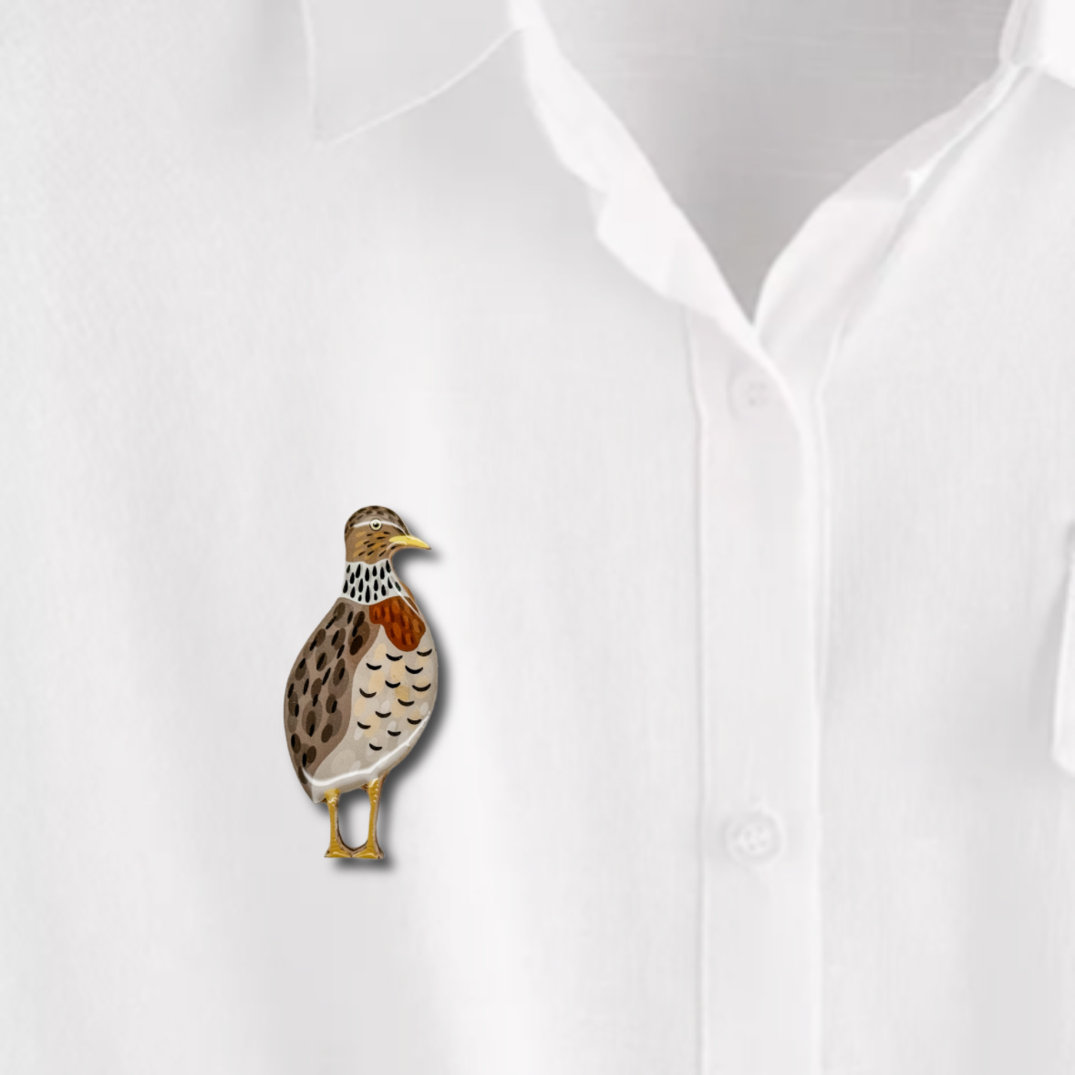 Plains Wanderer Brooch