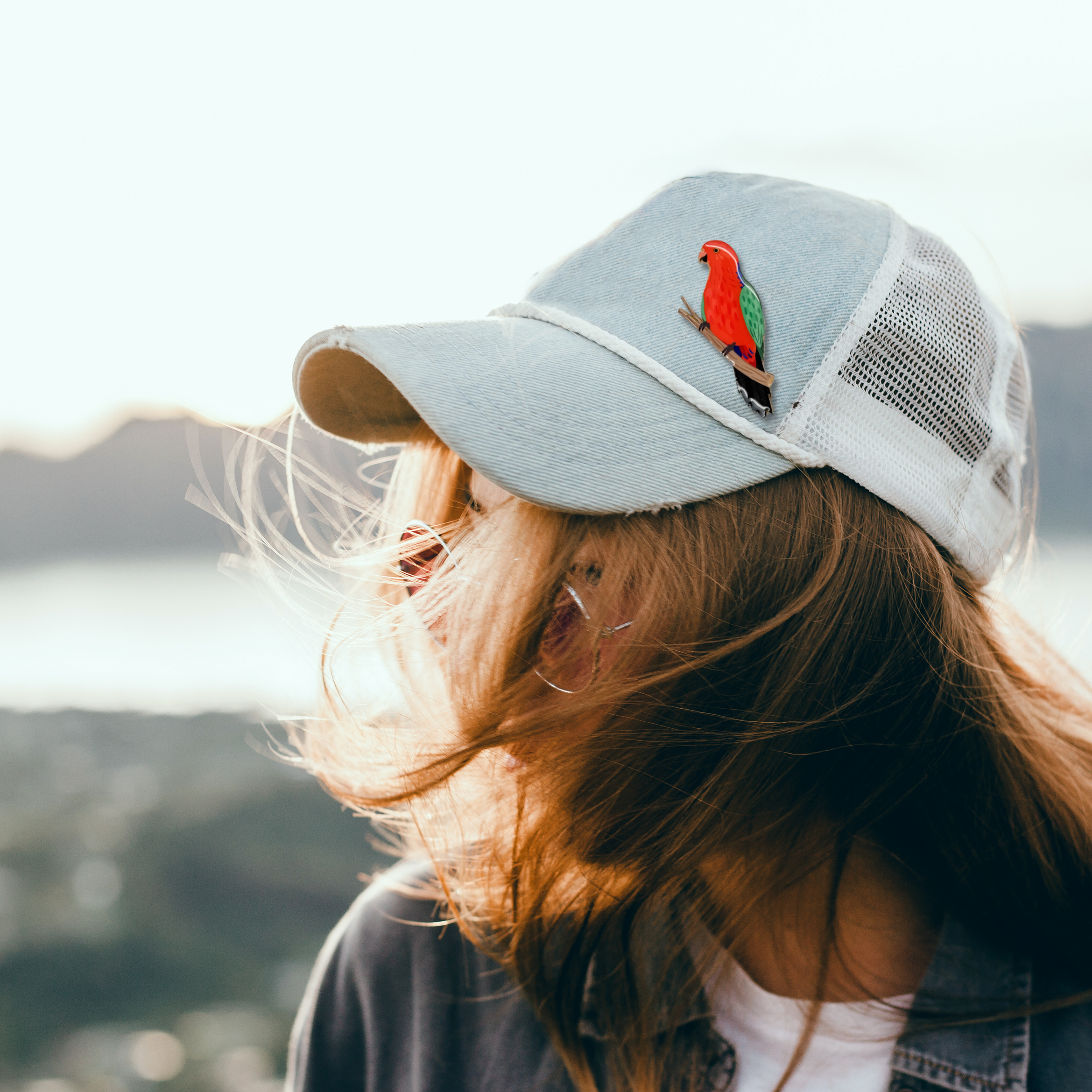 Australian King Parrot Brooch