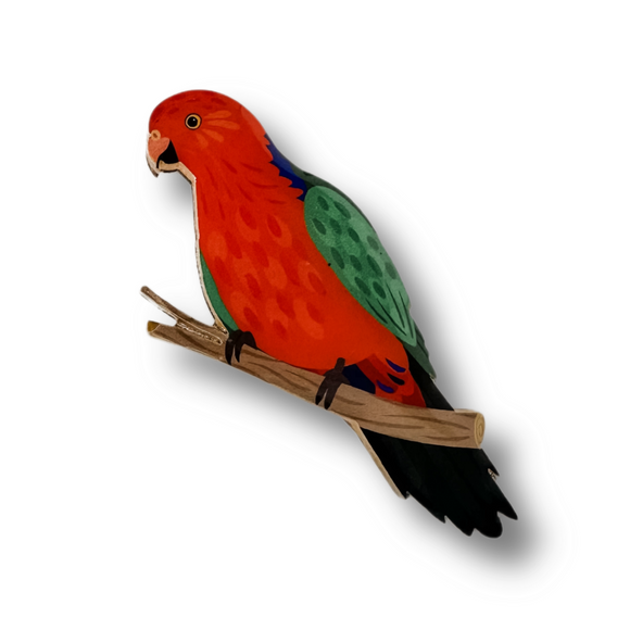 Australian King Parrot Brooch