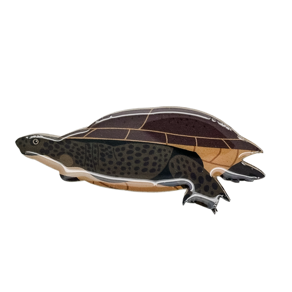 Long-necked turtle Brooch
