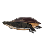 Long-necked turtle Brooch