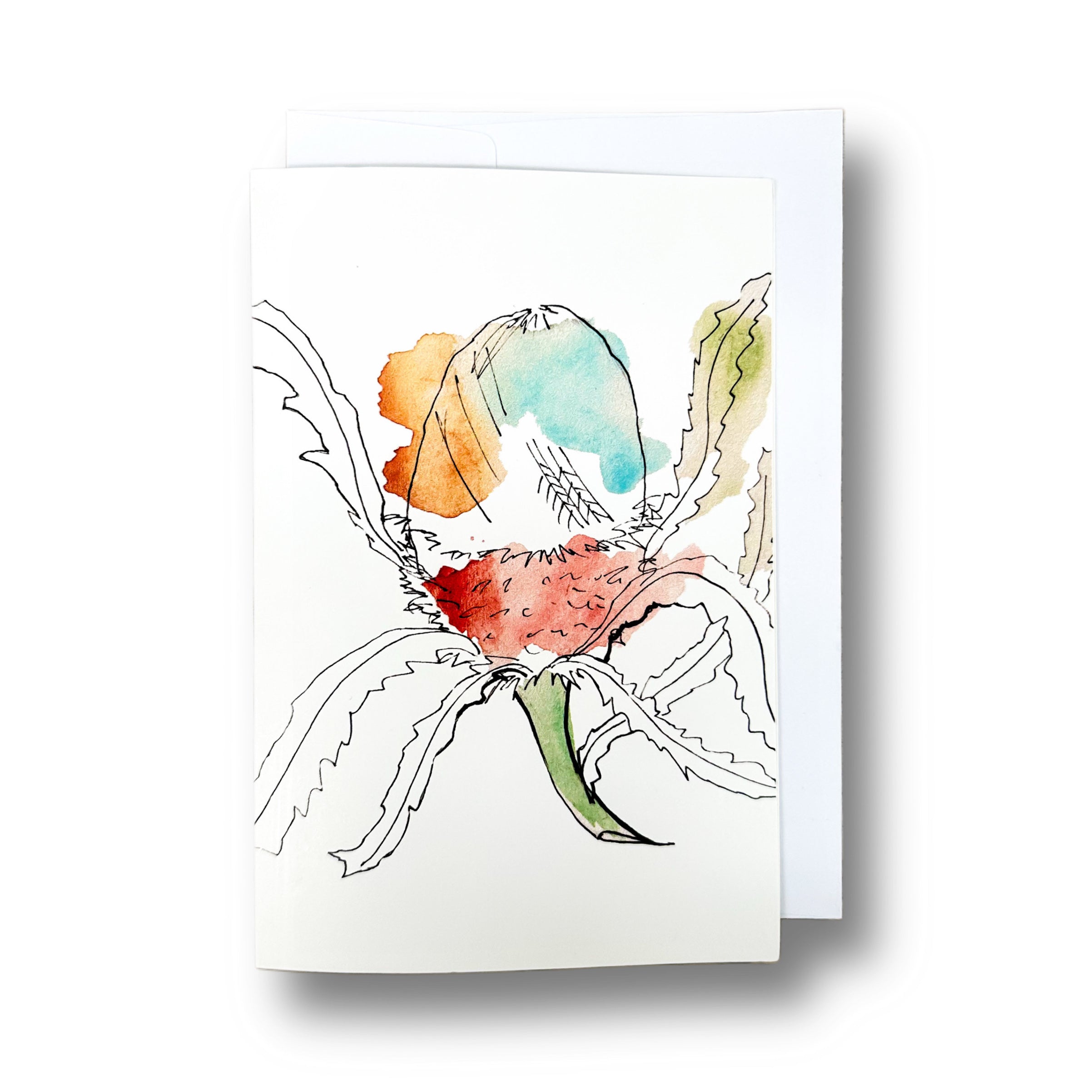 Banksia – Brooch & Card Set