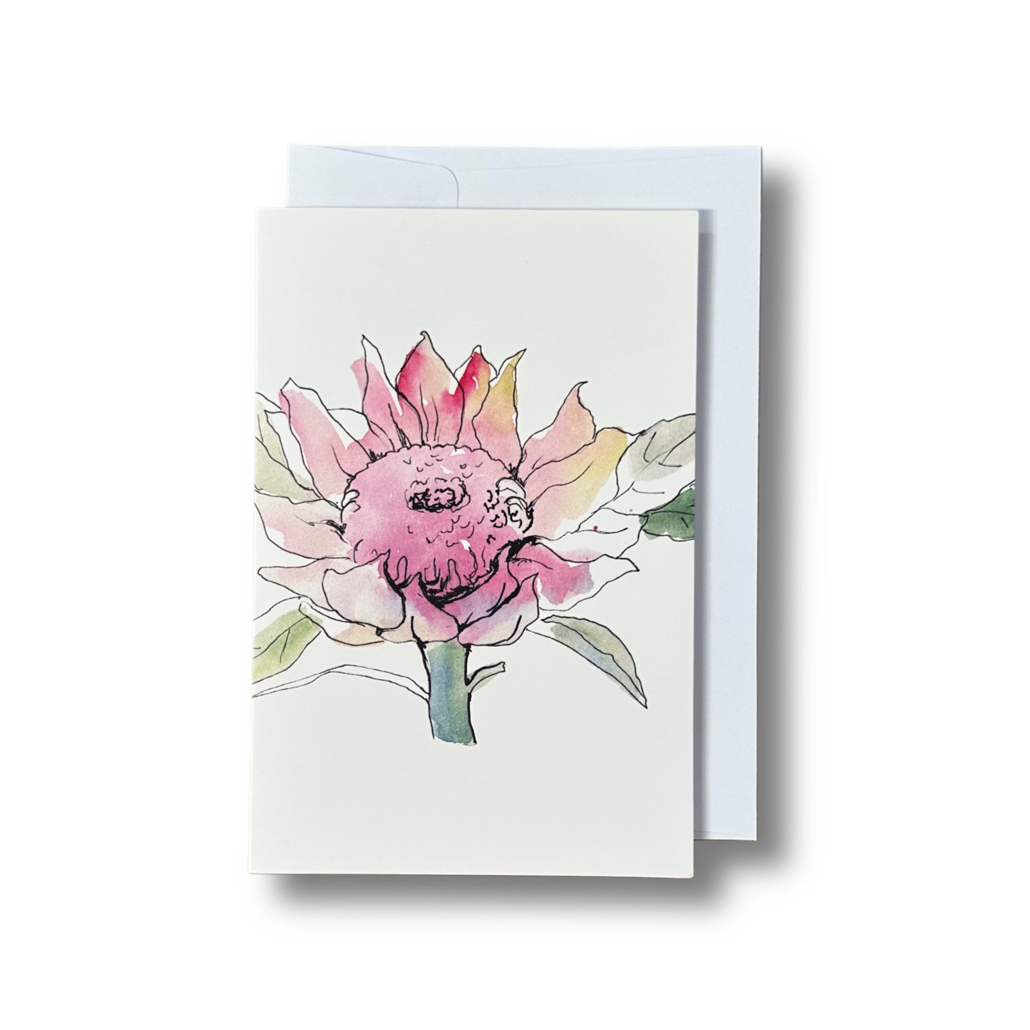 Waratah – Brooch & Card Set