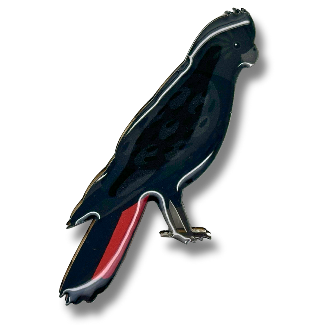 Glossy Black-cockatoo Brooch