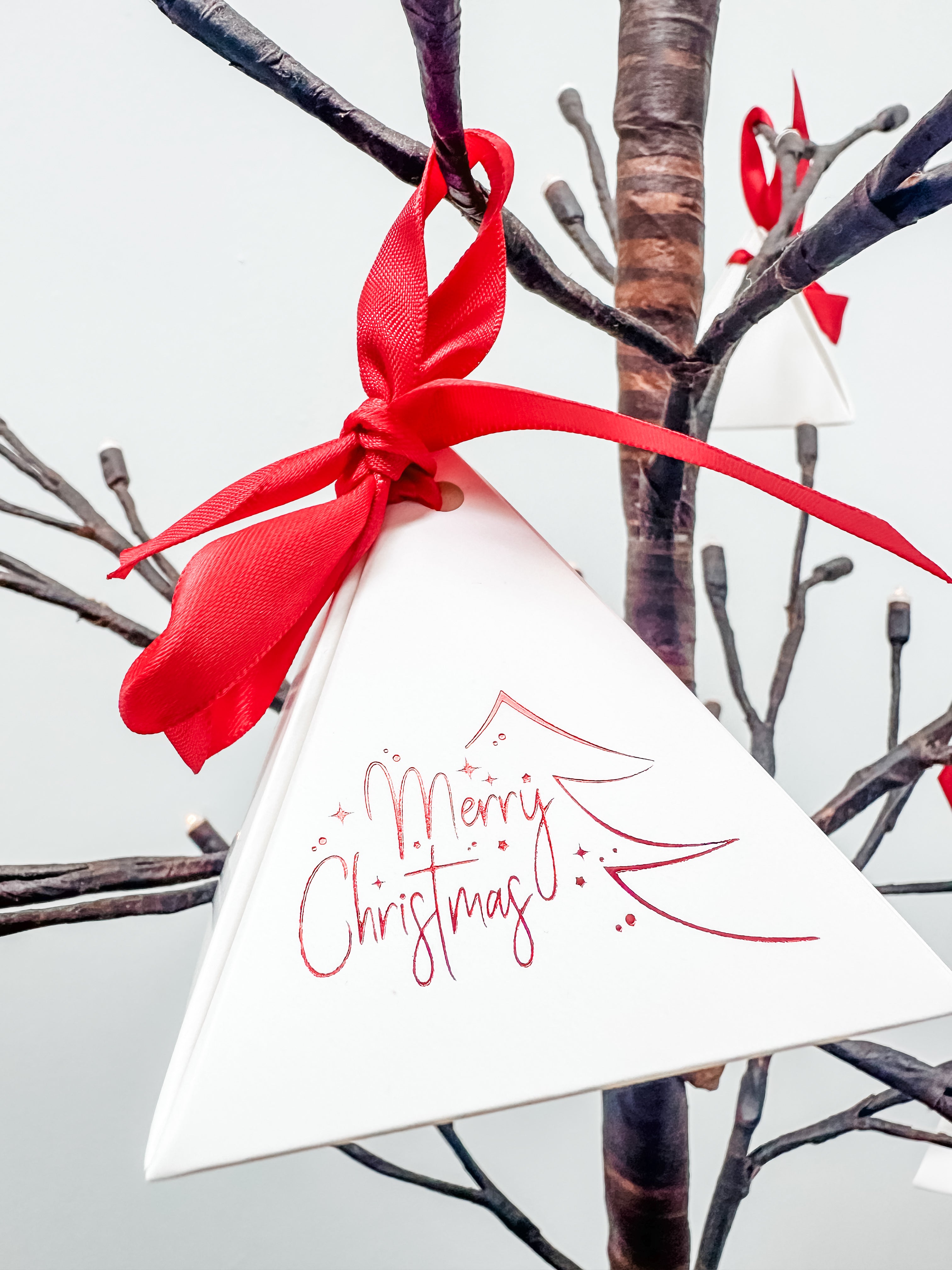 Advent Calendar - Taxa Edition