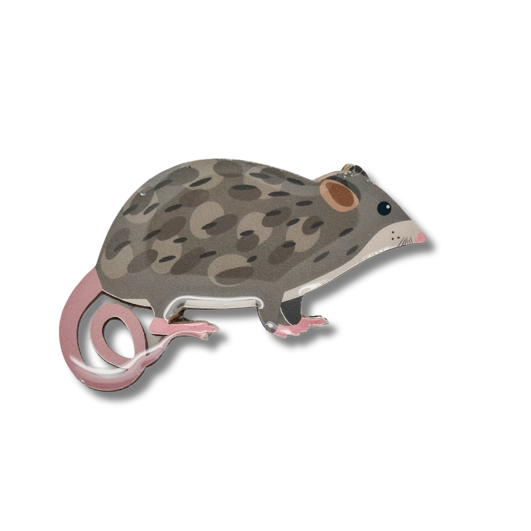 Mountain Pygmy Possum Brooch