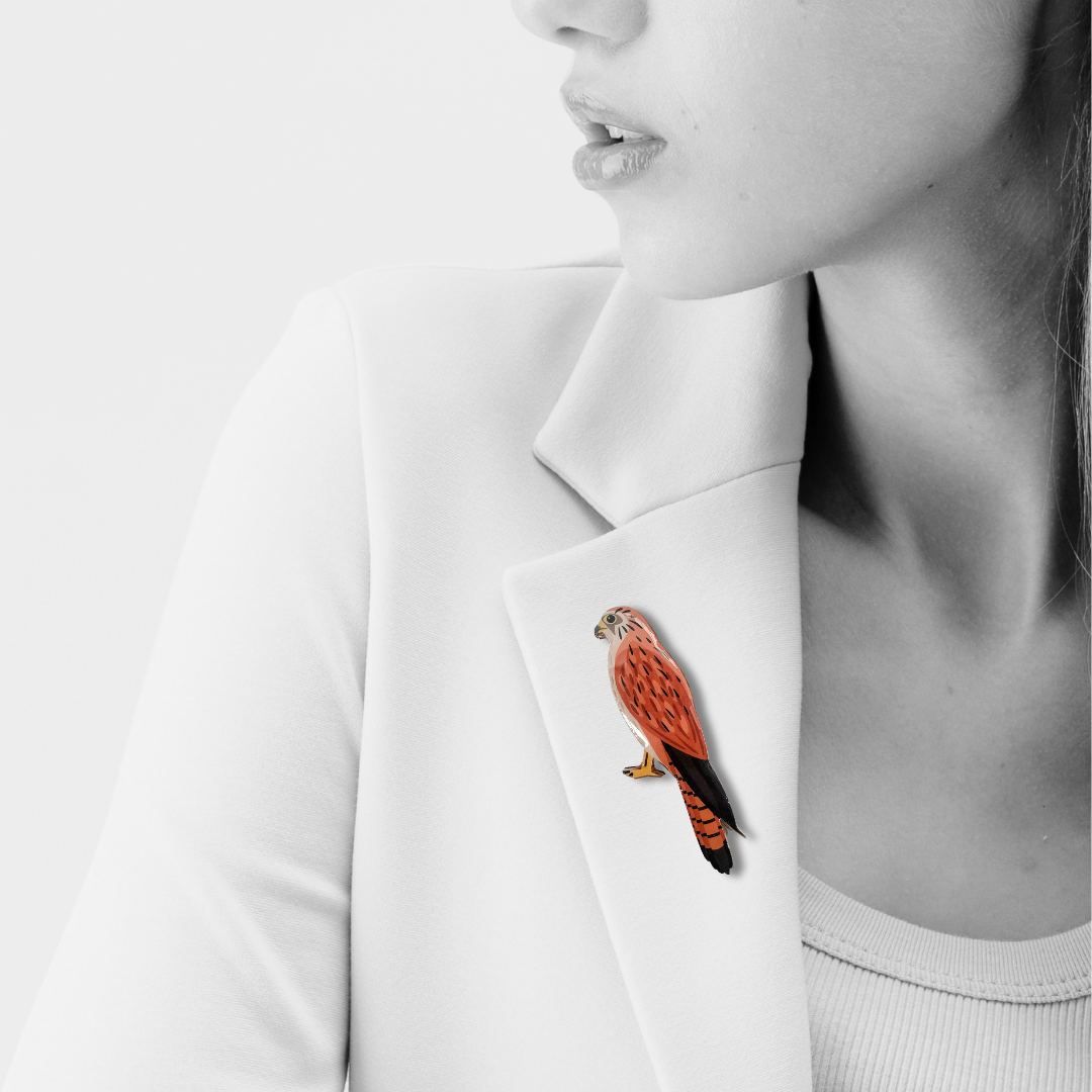 Nankeen Kestrel Brooch