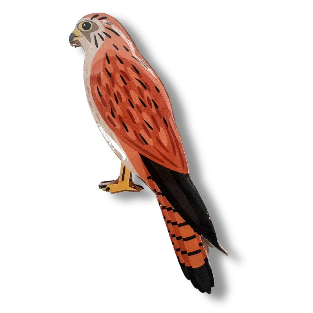 Nankeen Kestrel Brooch