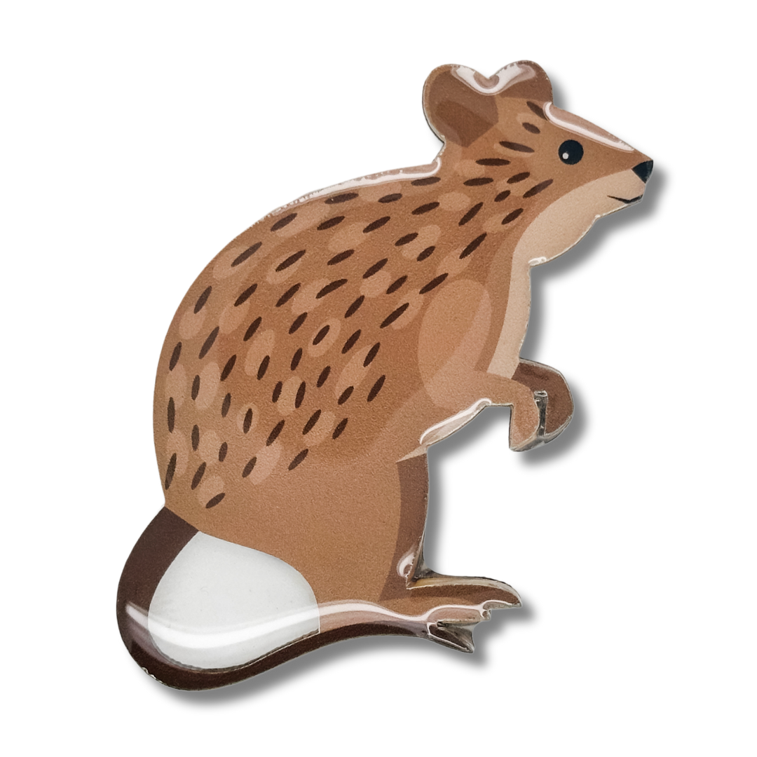 Quokka Brooch