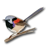 Variegated Fairy-wren Brooch