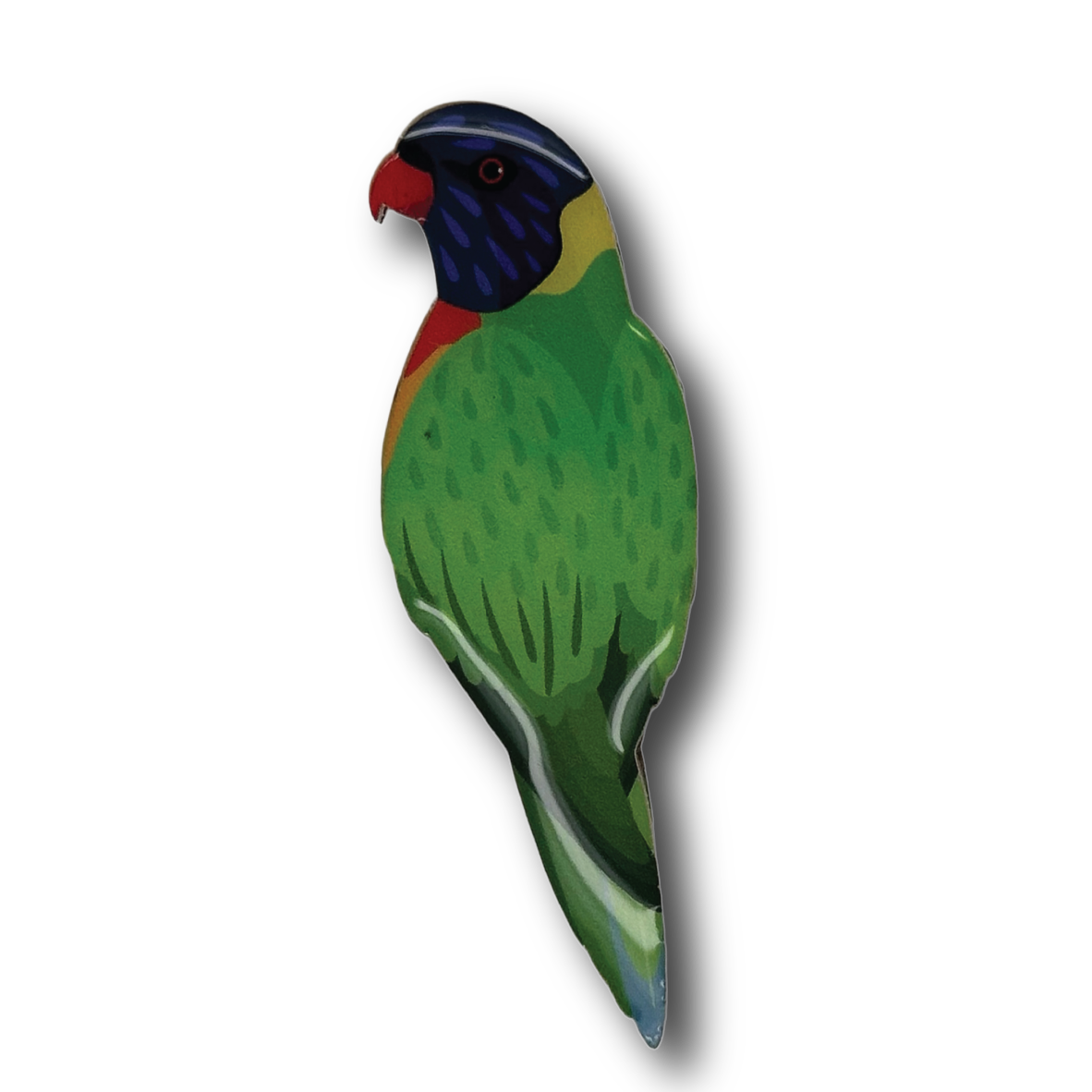 Rainbow Lorikeet Brooch
