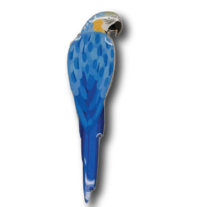 Blue & Yellow Macaw