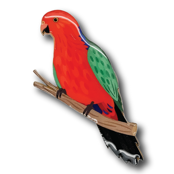 Australian King Parrot Brooch