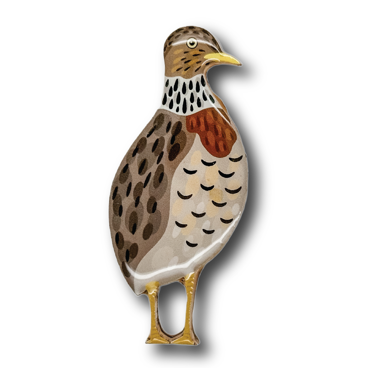 Plains Wanderer Brooch