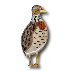 Plains Wanderer Brooch