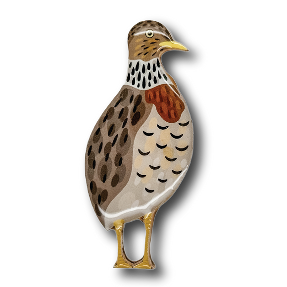 Plains Wanderer Brooch