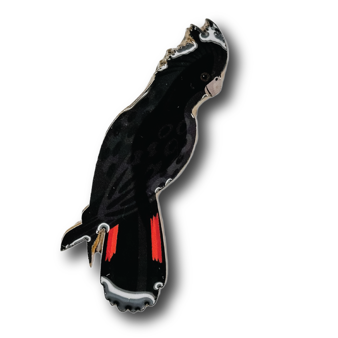 Red-tailed Black Cockatoo (Male) Brooch