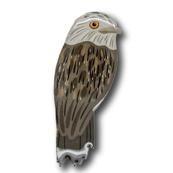 Tawny Frogmouth Brooch